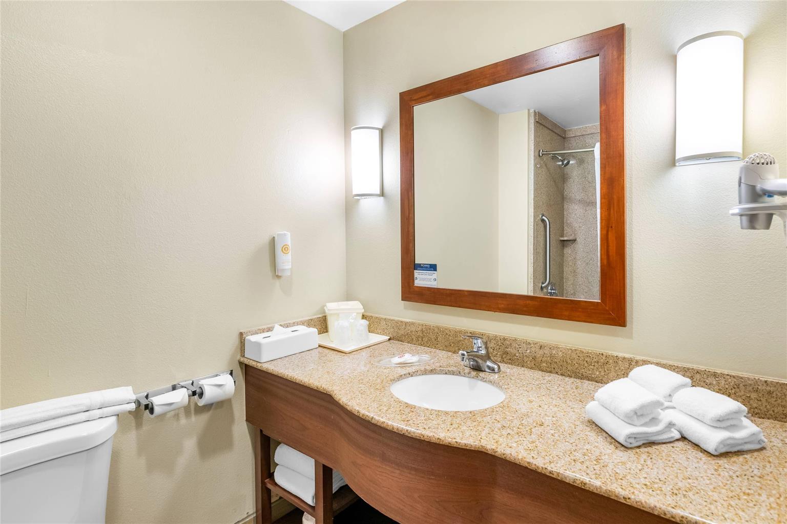 Comfort Suites Orlando Airport - photo 8