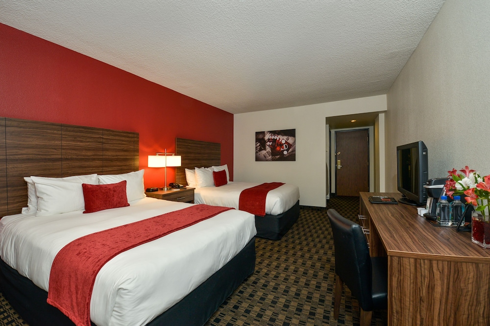 the D Las Vegas - photo 6