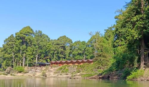 Konglor Cave Resort Riverside Restaurant in Unknown City, Laos