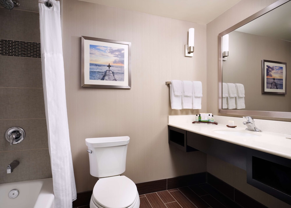 Hilton Garden Inn Los Angeles Redondo Beach - photo 12