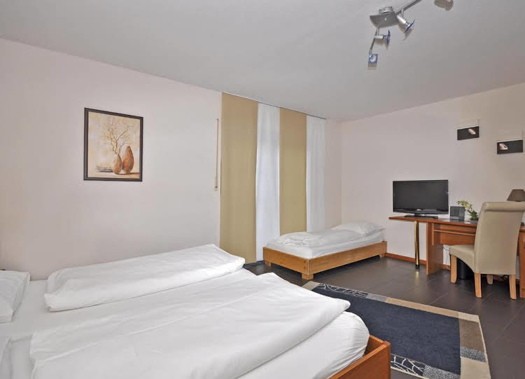Hotel Lindenhof — Egelsbach — photo 4