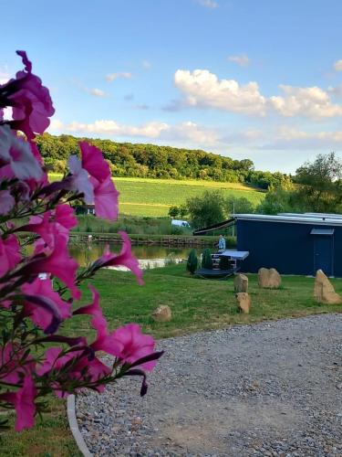Lacurile Irion - last minute hotel in Hoghilag
