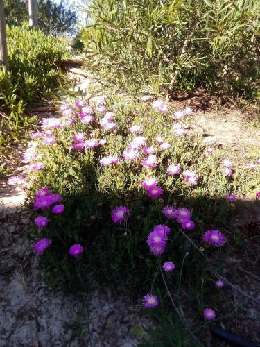 Refugio de paz — Unknown City — photo 3