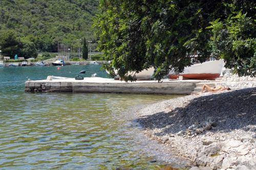 Apartments by the sea Zaton Mali 12120