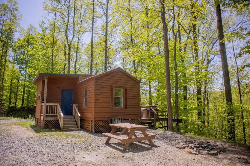 ACE Adventure Resort - photo 11