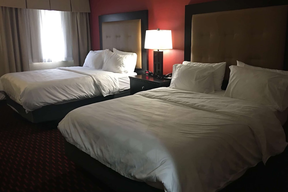 Wyndham Garden Dover - photo 8