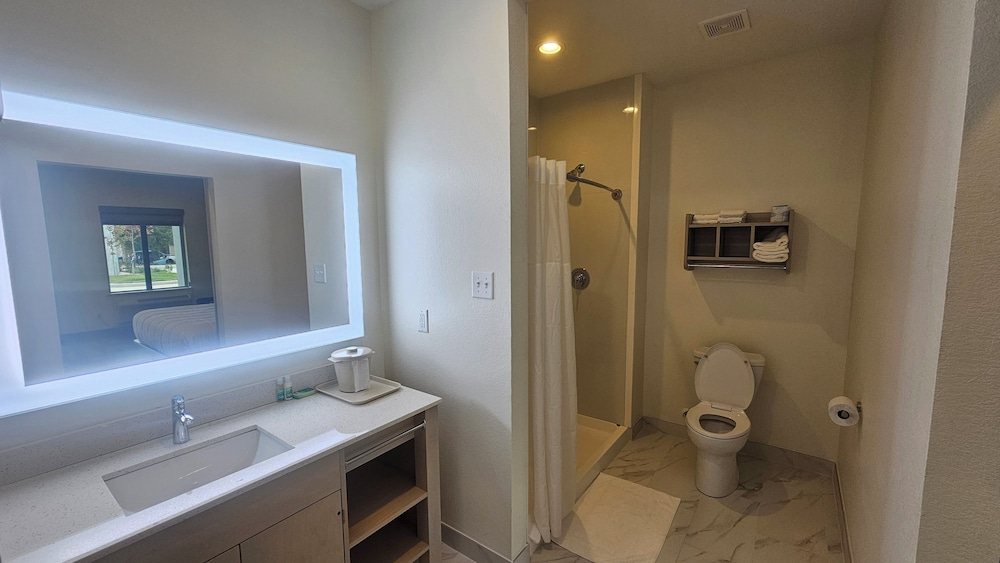 Palace Inn Baytown at Harrison St — Baytown — photo 4