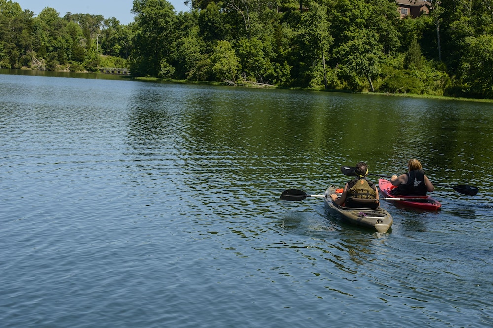 Pennyrile Forest State Resort Park - photo 14