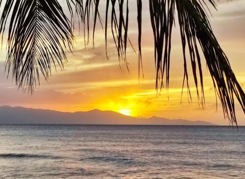 Coco et Canne — 4-Star Luxury Hotel in Port-Louis, Guadeloupe