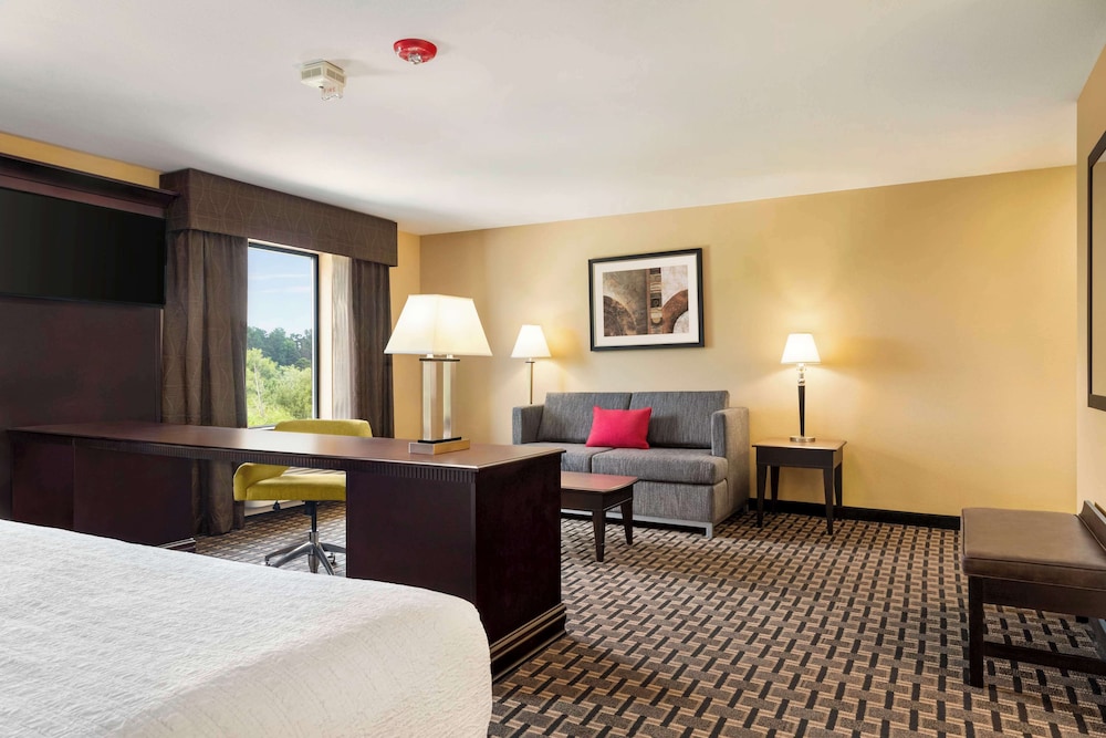 Hampton Inn and Suites Pine Bluff - photo 18