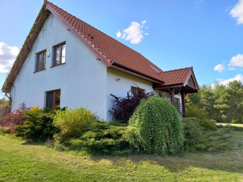 Dom Prusinowo 31a - last minute hotel in Unknown City