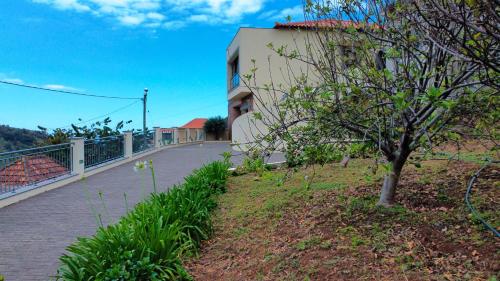 Capela's House by LovelyStay — 4-Star Luxury Hotel in Ribeira Brava, Portugal