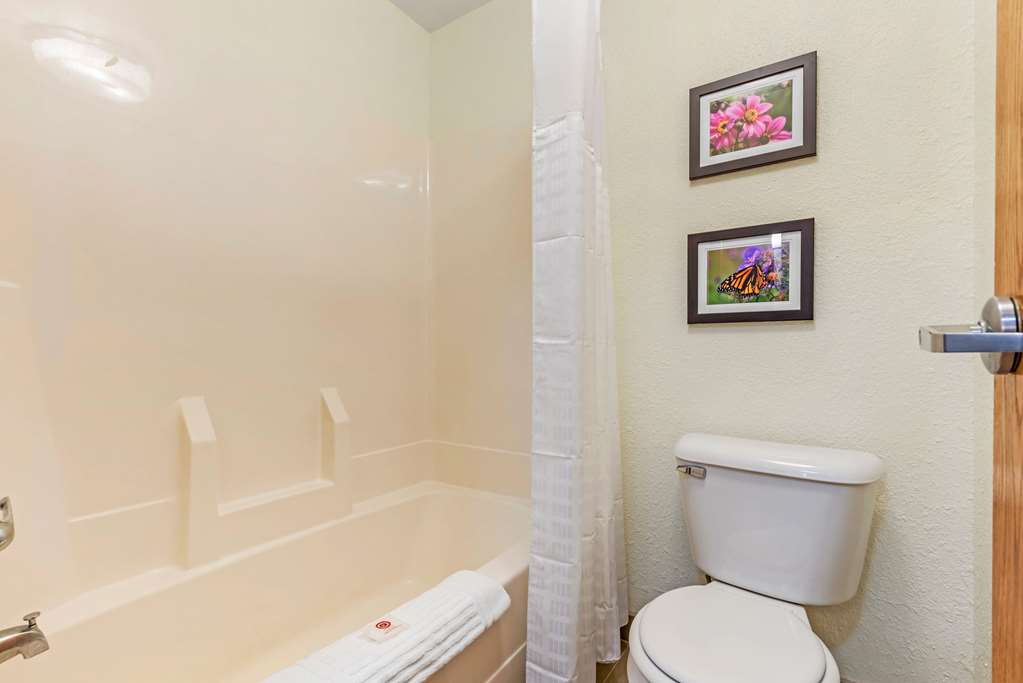 Comfort Inn & Suites Near Route 66 - photo 25