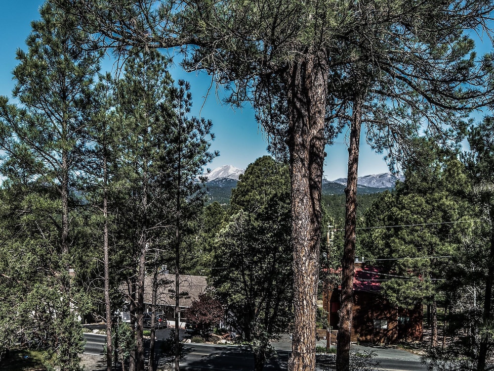 Bear Cave - photo 23