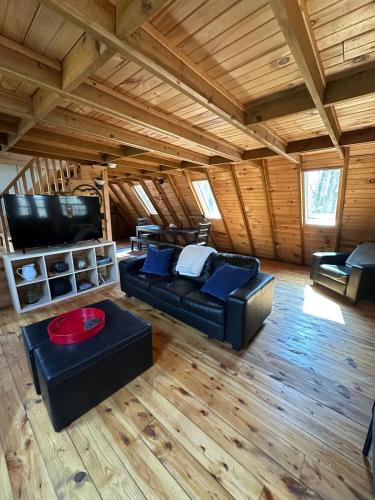 Bearly Behavin in Blue Ridge, United States