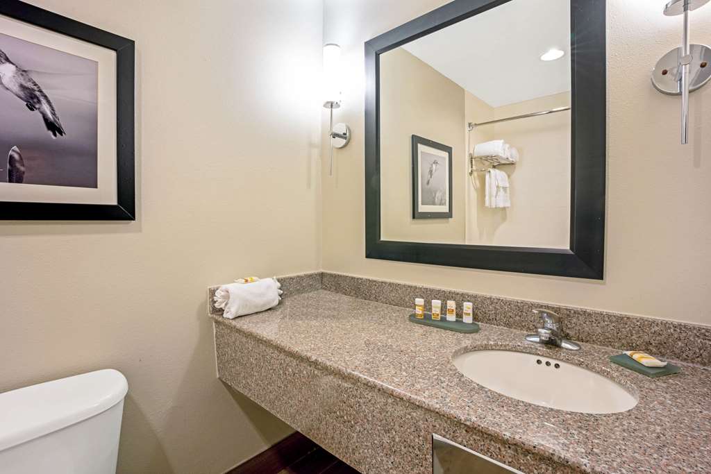La Quinta Inn Suites Houston North Spring - photo 23