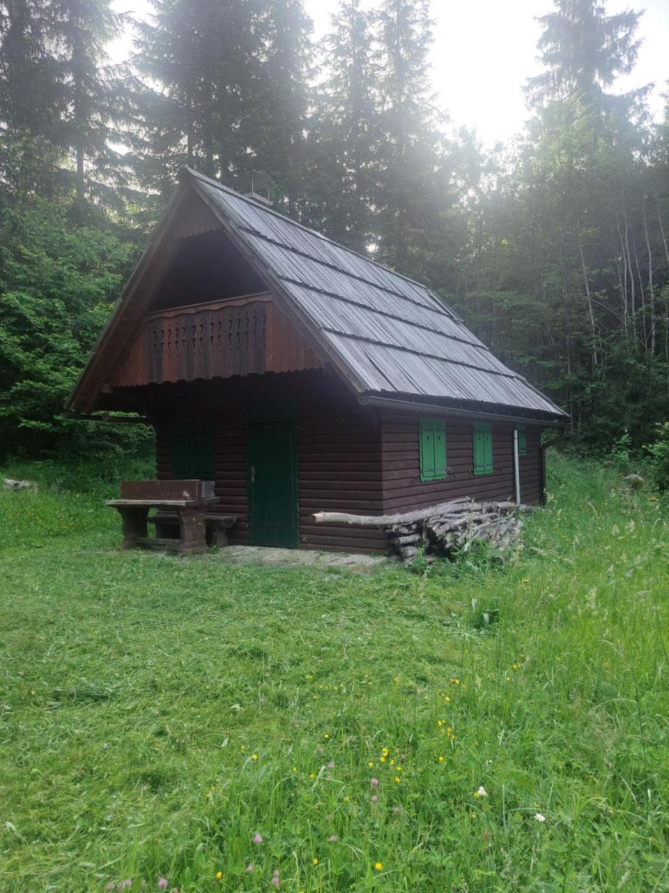 Princess Vogar in Unknown City, Slovenia