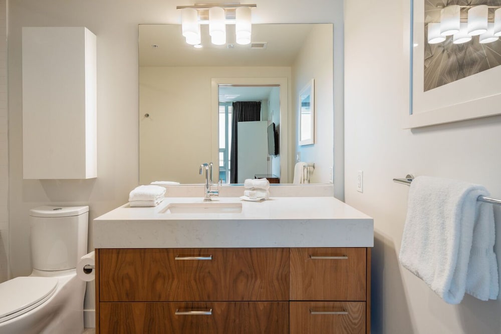 Level Los Angeles Downtown South Olive - photo 64