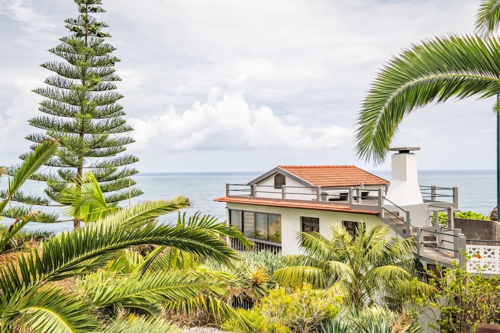 Northern Secret by Homie in Ponta Delgada, Portugal