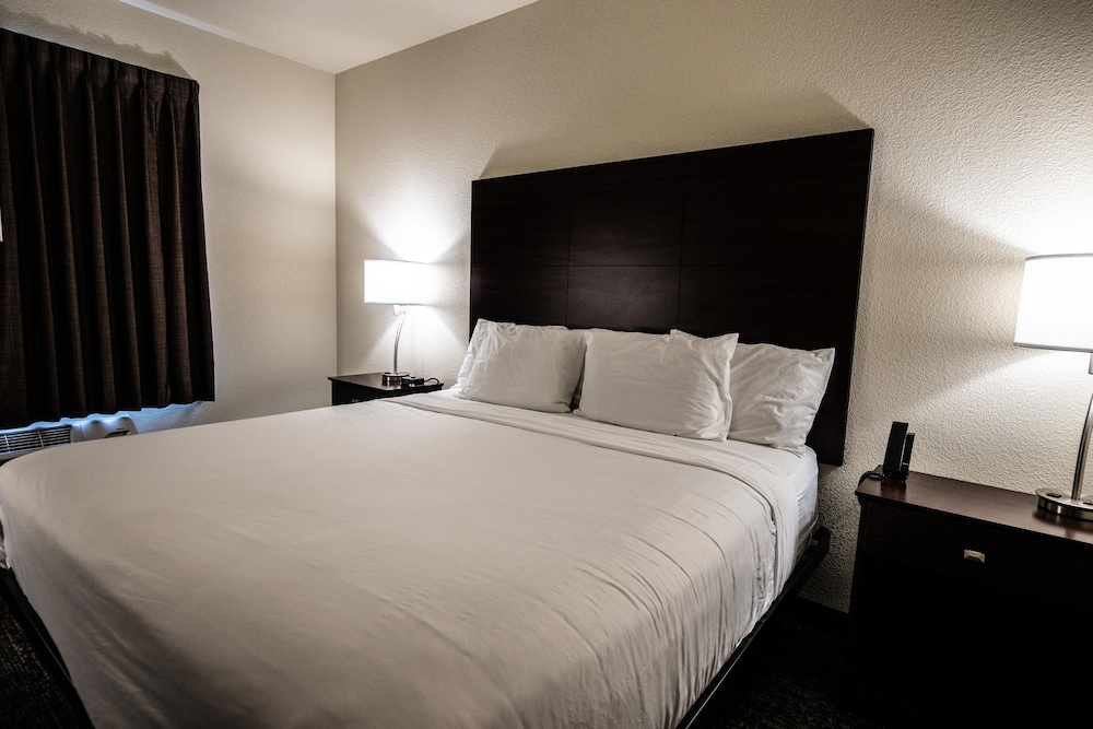Cobblestone Hotel & Suites Lamar - photo 8