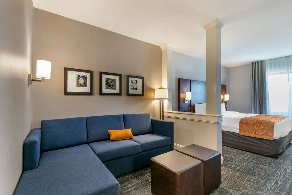 Comfort Suites North Tupelo - photo 16