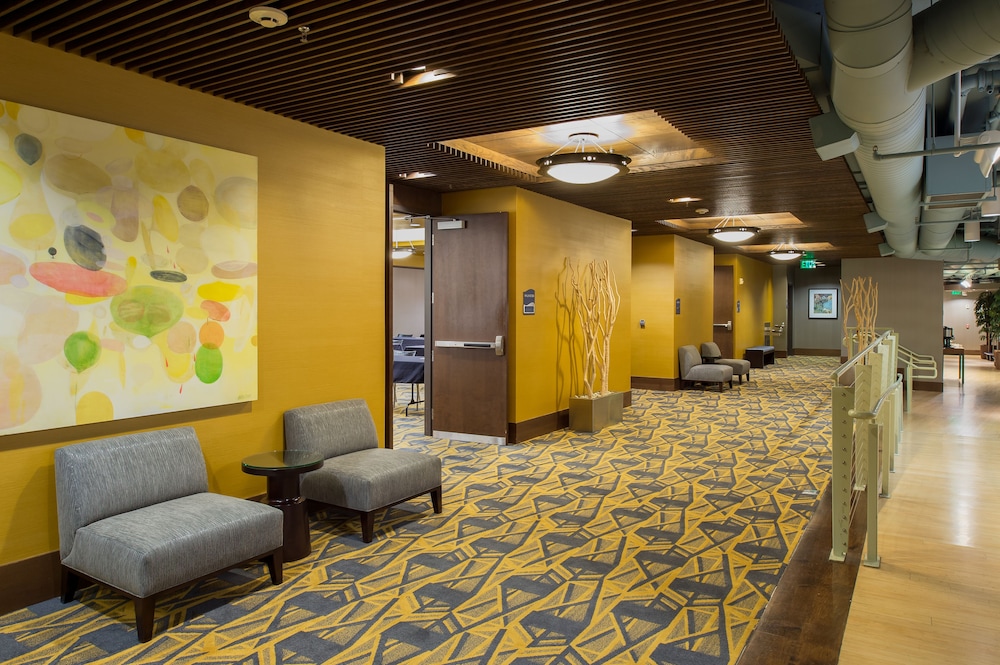 Staypineapple Watertown Hotel University District Seattle - photo 28