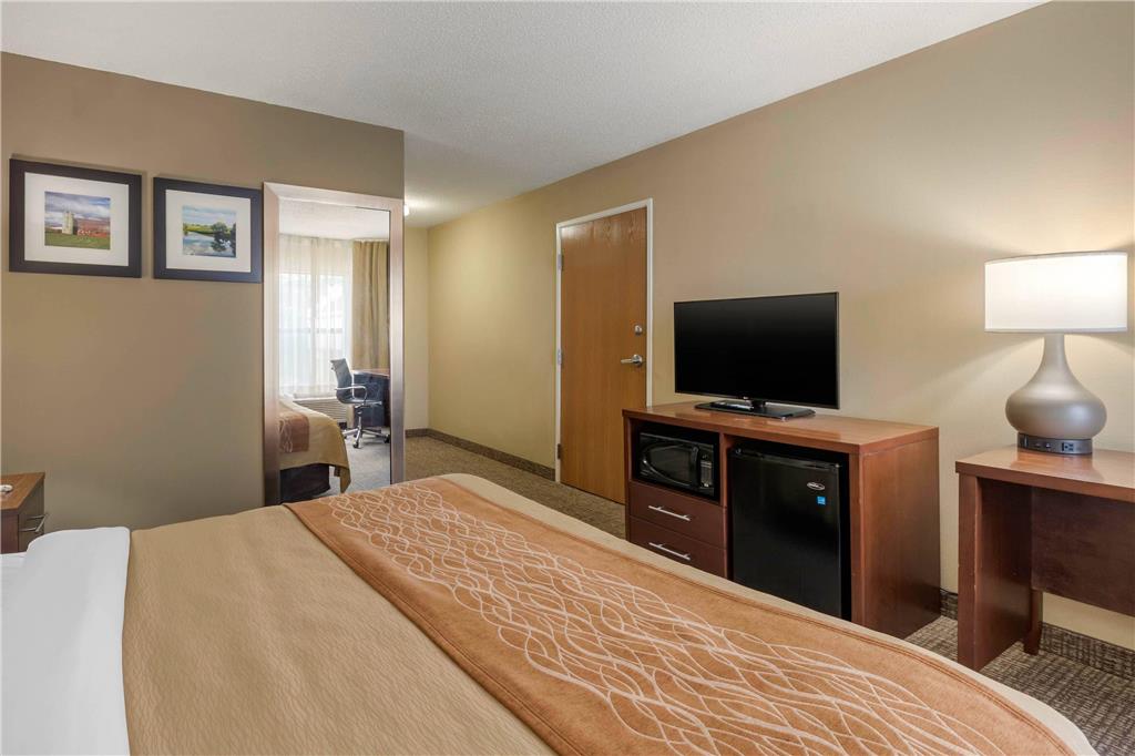 Comfort Inn Walcott near Davenport - photo 8