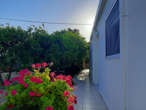 Spiti Xenia in Ierapetra, Greece