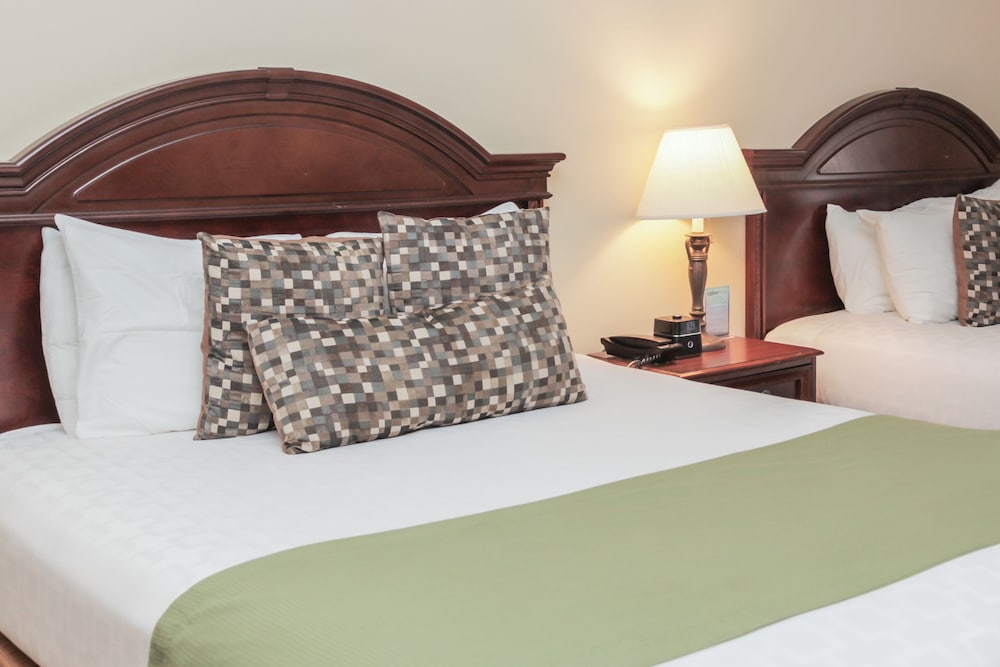 The Conwell Inn - photo 2