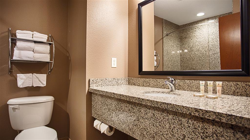 Best Western Plus Carousel Inn & Suites - photo 27