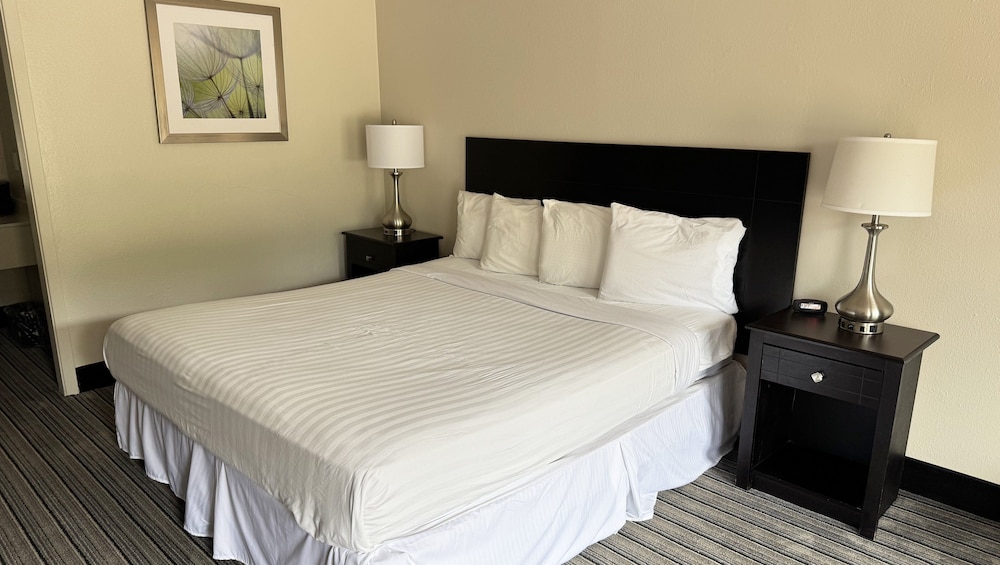 Hotel Francis - photo 5