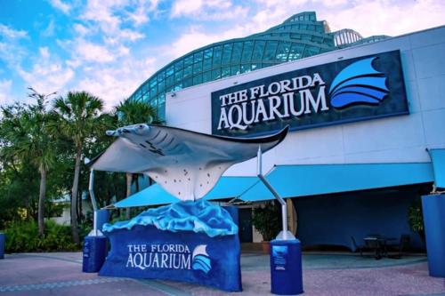 Newly Renovated Couple s Retreat 2Bd 1B with King Bed — 4-Star Luxury Hotel in Tampa, United States