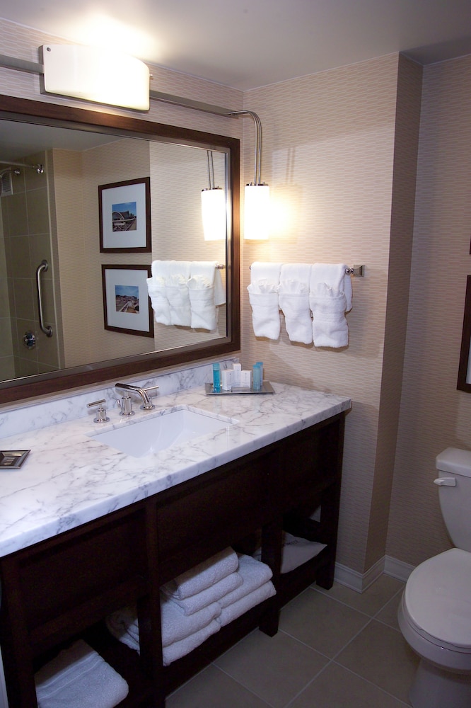 Hilton St. Louis Airport - photo 48
