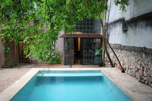 Oasis with natural pool in the heart of Mérida in Merida, Mexico