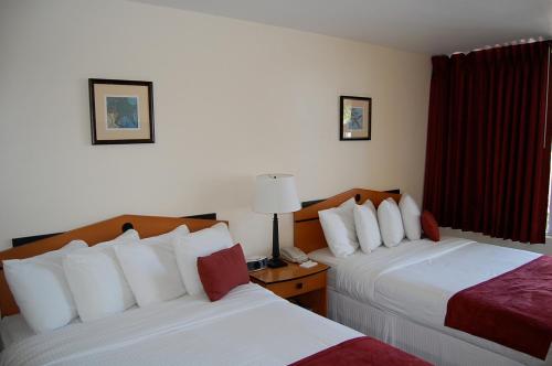 Alcazar Resort Gay Mens Resort - photo 22