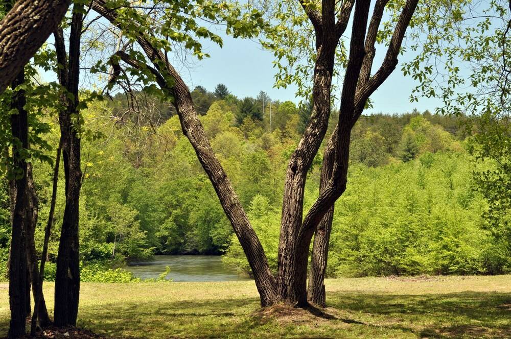 Rivers Edge - photo 26