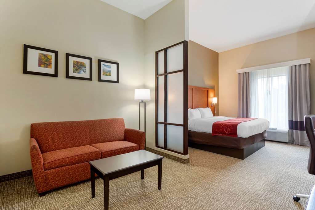 Comfort Suites Kingsport South - photo 11