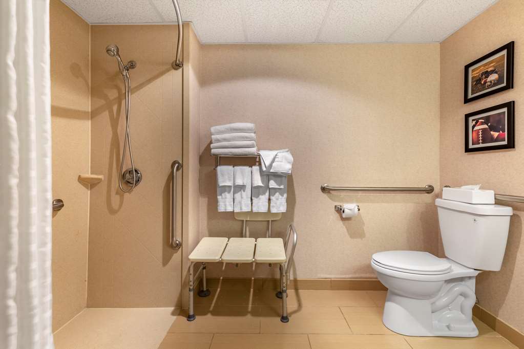Comfort Inn Foxboro Mansfield - photo 11
