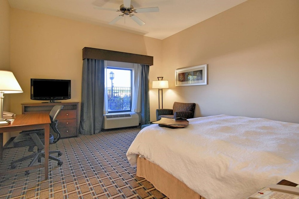Hampton Inn & Suites New Iberia Avery Island - photo 10