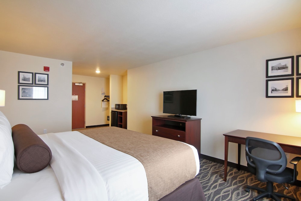 Cobblestone Inn & Suites at UW Stout Downtown Menomonie - photo 19