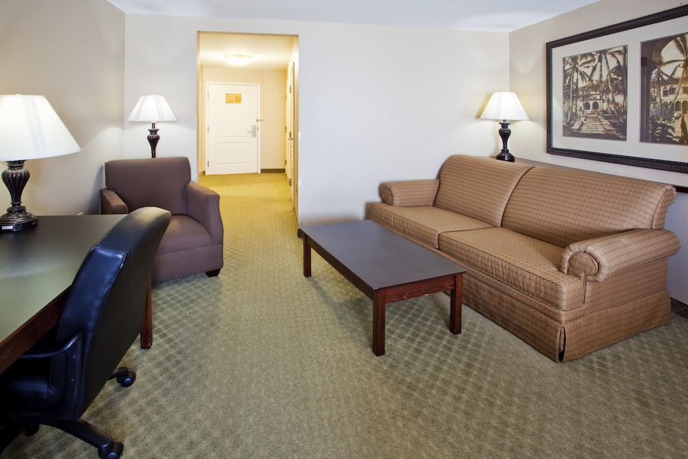 Holiday Inn Express Savannah Airport - photo 23