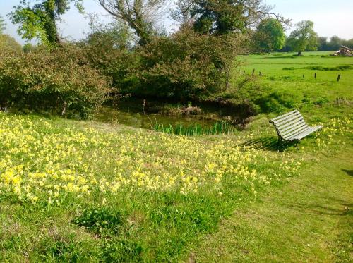 Lakeside Town Farm — Chinnor — photo 5