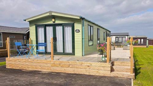 Foxgloves and Ivy in Cockermouth, United Kingdom