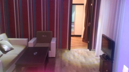Apartment Sofi