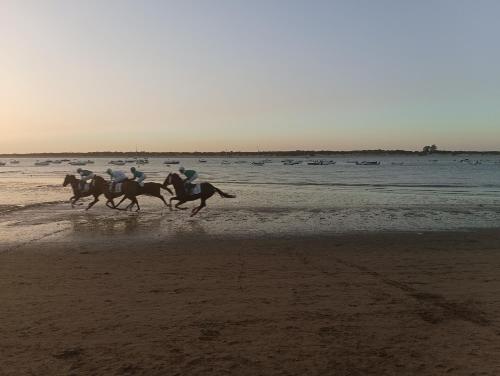 Idalia 19 Atico in Sanlucar De Barrameda, Spain