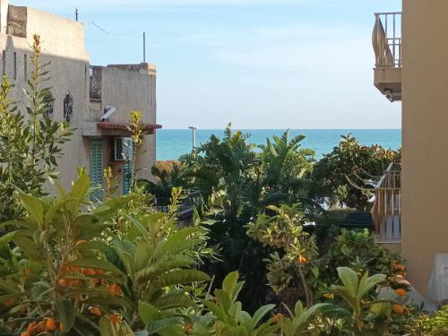 Appartamento Sirene — 4-Star Luxury Hotel in Marina Di Ragusa, Italy