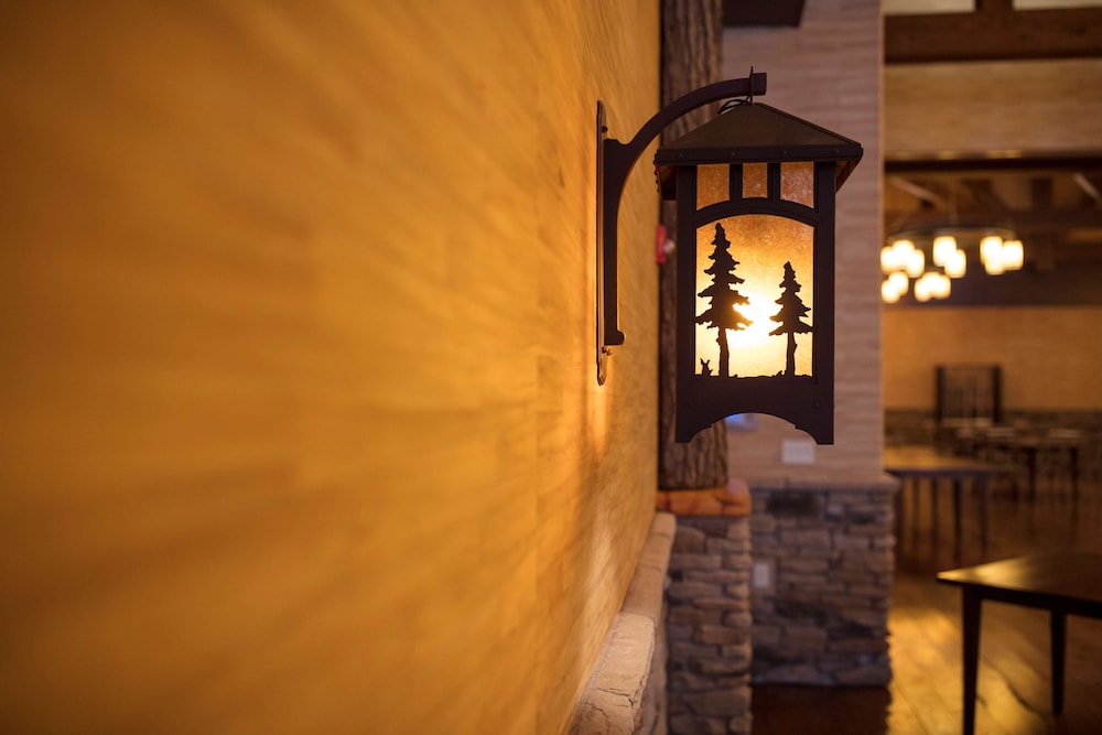 Tailwater Lodge Altmar Tapestry Collection by Hilton - photo 189