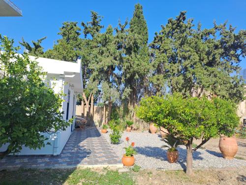 Déjà Blue - carbon neutral hotel in Archangelos
