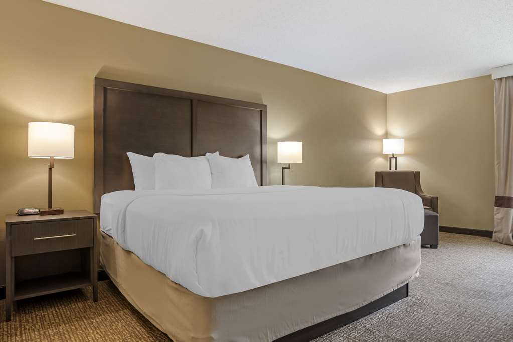 Comfort Inn Opelika Auburn - photo 14