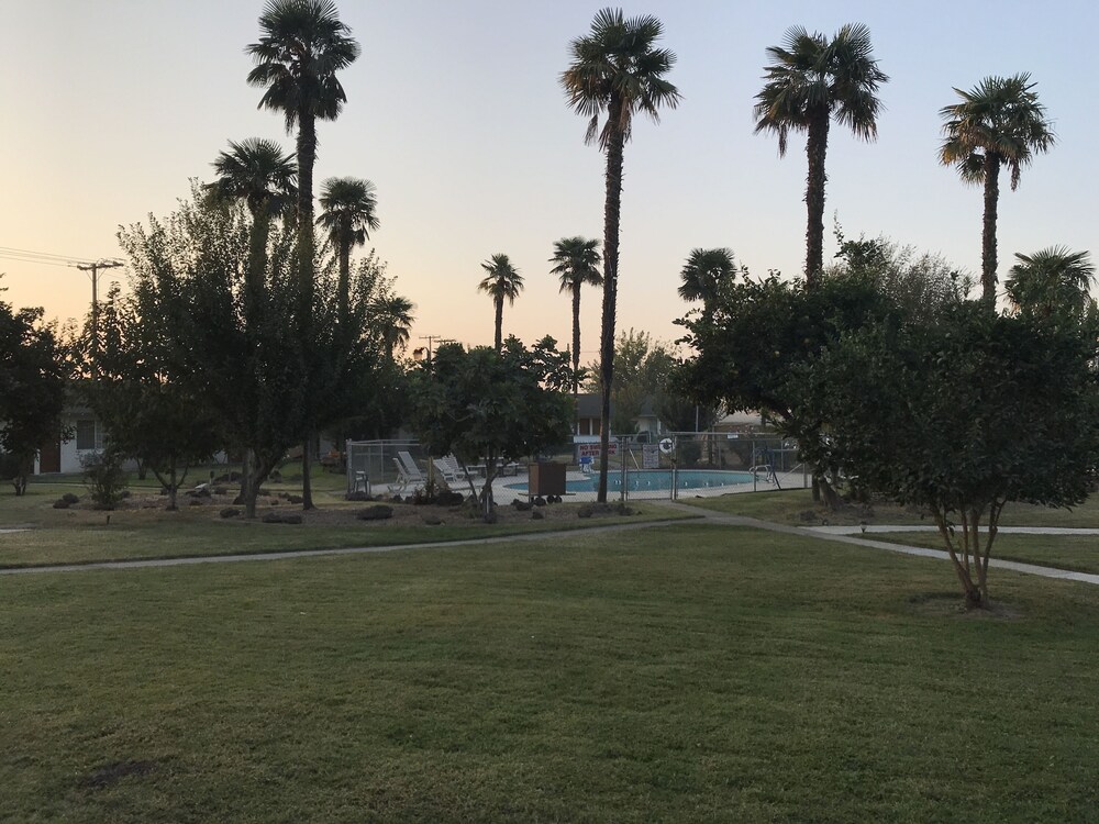 99 Palms Inn & Suites - photo 38